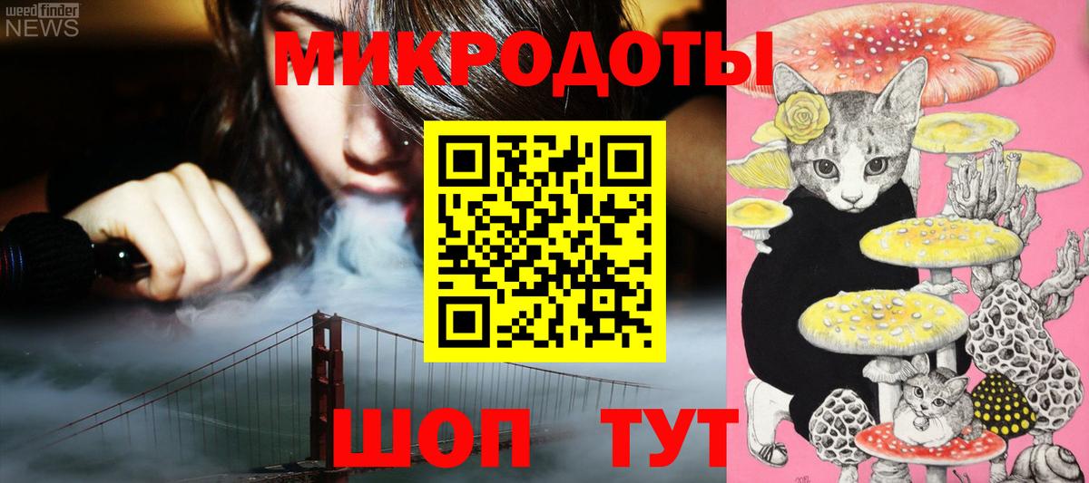 Псилоцибиновые грибы Psilocybe Краснотурьинск
